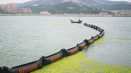 2008年7月，參加青島海域滸苔防治工作